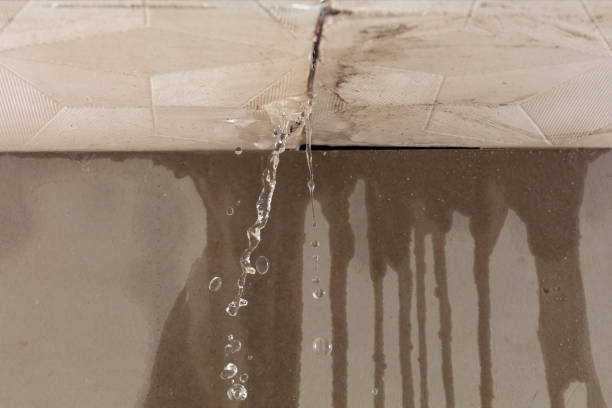 Professional Sewage Cleanup technician working in Seymour, IN